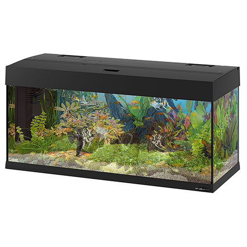 Ferplast Acquario Dubai 100 Led Nero 101x41x h 53 cm 190 l