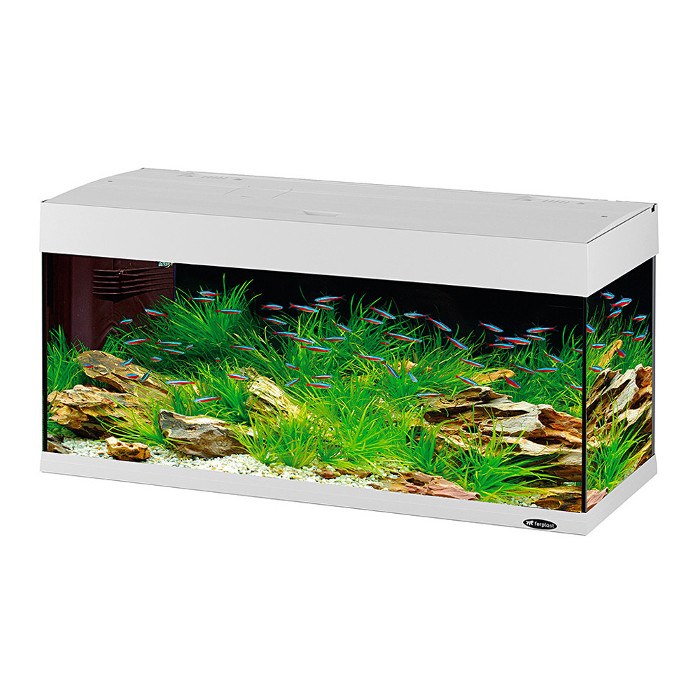 Ferplast Acquario Dubai 120 Led Bianco 121x41x h 56 cm 240 l