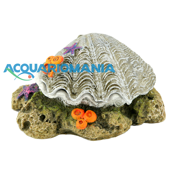 Amtra Conchiglia &quot;Apri e chiudi&quot; Silver con attacco per Areatore 10cm