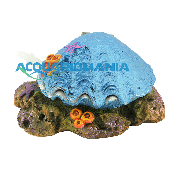Amtra Conchiglia &quot;Apri e chiudi&quot; Blu con attacco per Areatore 10cm