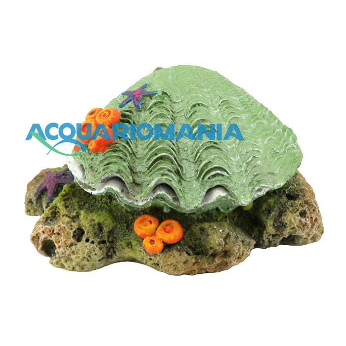 Amtra Conchiglia &quot;Apri e chiudi&quot; Verde con attacco per Areatore 10cm