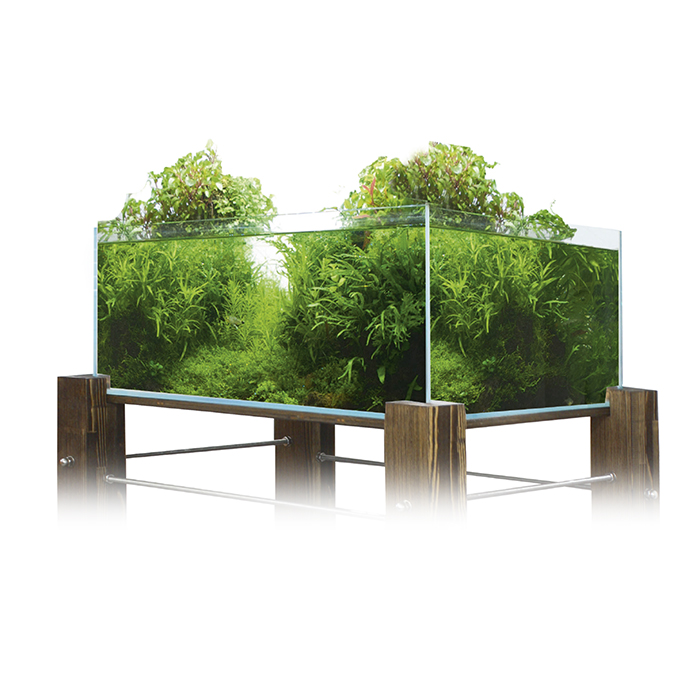 Amtra Shallow Vasca Shallow in Extrachiaro 8mm 75x50x30hcm