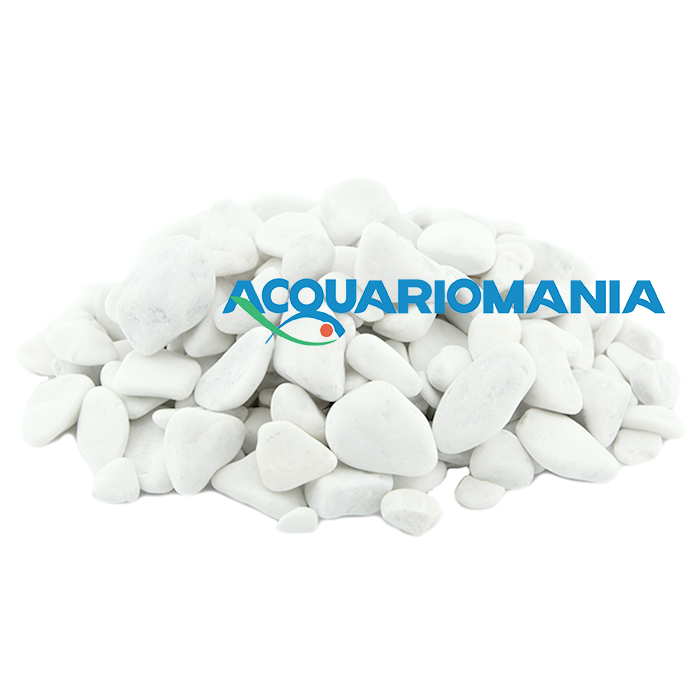 Amtra Ciotoli bianchi 2-4cm circa 5Kg