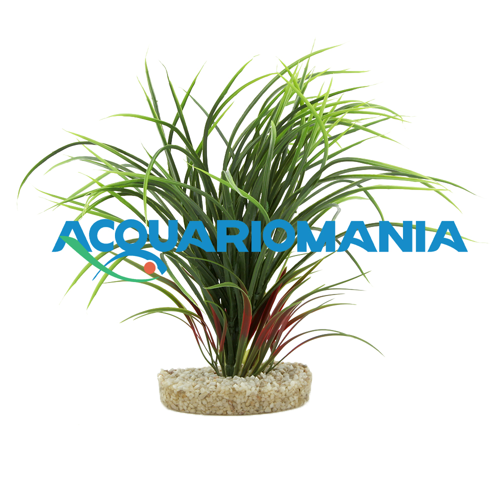 Sydeco Pianta Fan Grass Verde 35x30x30h cm