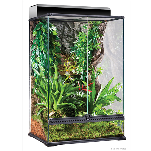 Exoterra Terrario Natural Terrarium MediumX-tall 60x45x90cm