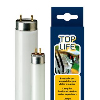 Ferplast Toplife Lampada al neon T8 30W 895mm