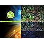 Askoll Acquario Pure LED L White 56x36x43,5h cm 68Lt