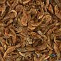 Amtra Tugashrimp Gamberetti grandi per Tartarughe d'acqua 2000ml 260g