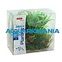 Zolux PlantKit Jalaya 3 Assortimento 6 piantine in plastica