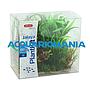 Zolux PlantKit Jalaya 4 Assortimento 6 piantine in plastica