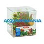 Zolux PlantKit Idro 3 Assortimento 7 piantine in plastica (copia)