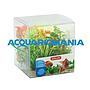 Zolux PlantKit Mix 6 Modello 3 Assortimento piantine in plastica