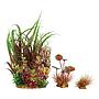 Zolux PlantKit Mix 4 Modello 2 Assortimento piantine in plastica