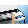 Oase Acquario HighLine 125 con Supporto Bianco 50x50x157