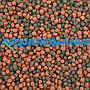 Shg Premium Marino Large 500gr
