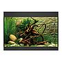 Oase Acquario StyleLine 125 con Supporto Nero 70x36x50 115 litri