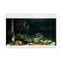 Oase Acquario StyleLine 175 Bianco 80x40x55h cm 160 litri