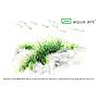 Aqua Art Eleocharis pusilla in Vitro Cup