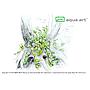 Aqua Art Micranthemum "Monte Carlo" in Vitro Cup