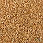 Prodac Tartafood Gammarus 10L 1Kg