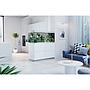Oase HighLine Room Divider Acquario con Supporto Bianco 302 litri
