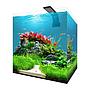 Aqpet Kubic Box 30 Acquario Completo Acqua Dolce 27 litri 30x30x30h