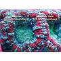 Blau Aquaristic Cubic Super Reef 92 Bianco Acquario Marino con Supporto 276 Litri