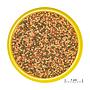 Jbl Pronovo Bel Grano S Granulare con Aglio e Prebiotici 20ml 18gr