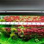 Chihiros B60 Plafoniera Led RGB con Controller per vasche 60-80cm 37W