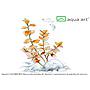 Aqua Art Ludwigia ovalis in Vitro Cup