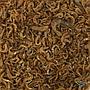 Blu Bios Tartarù Giga per Tartarughe d'acqua 150gr