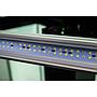 Askoll Opera 110 Acquario completo 110 litri White 60x40x50h cm