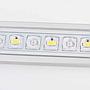 Blau Aquaristic Stick Lumina 30 11W con Controller per vasche da 30-37cm dolce