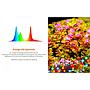 Twinstar S Line IV 900S Lampada a Led RGB in Titanio Aquascaping 42W 60-70cm