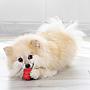 Kong Classic Small Gioco per Cani
