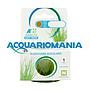 Aquafleur Easy Grow Pianta Eleocharis Acicularis in Vitro Cup