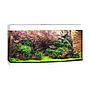 Juwel Acquario Vision 260 Litri LED Bianco 121x46x64H cm