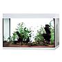 Askoll Acquario Pure LED XL HC High Cube White 76x36x57h cm 130Lt