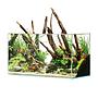 Oase Acquario ScaperLine 60 Vasca Opti-White 60cm
