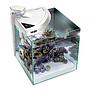 Newa More 30 Reef Acquario Marino Completo di Illuminazione a Led Dual Touch 28 l Bianco