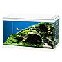 Ciano Aquarium Acquario Aqua 60 Bianco 58 litri 60x30x32h cm